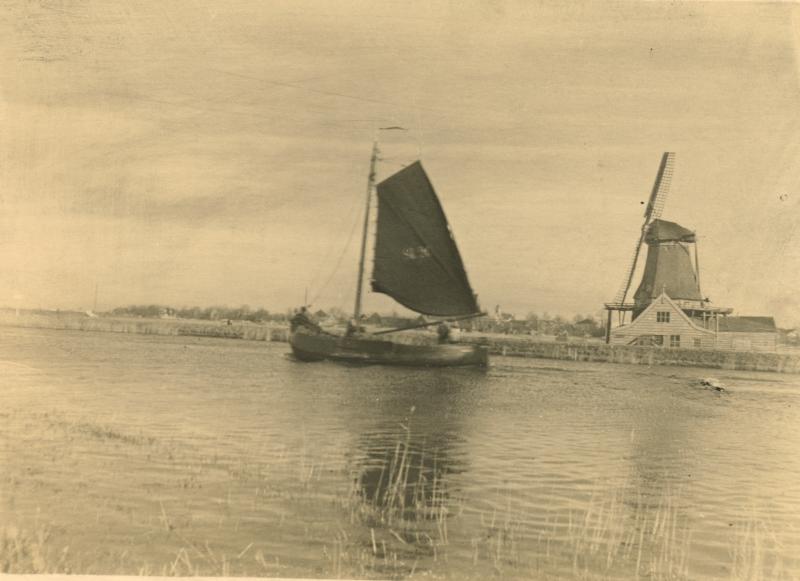 Foto 1005998771