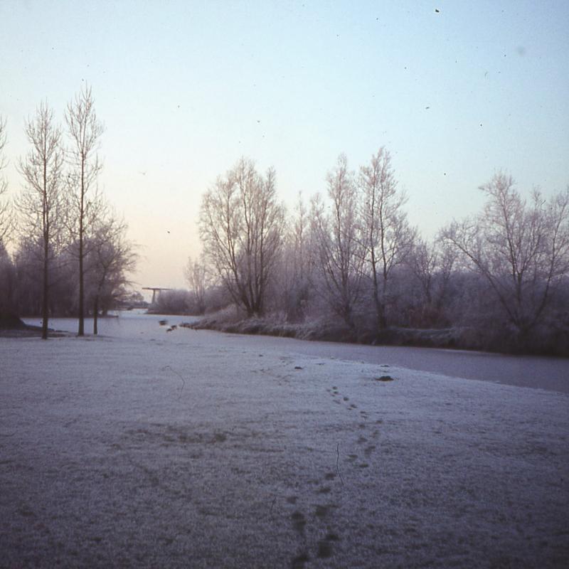 Foto 1019499669