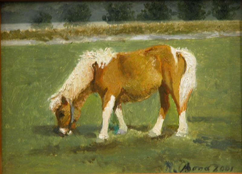 Foto 1074063451