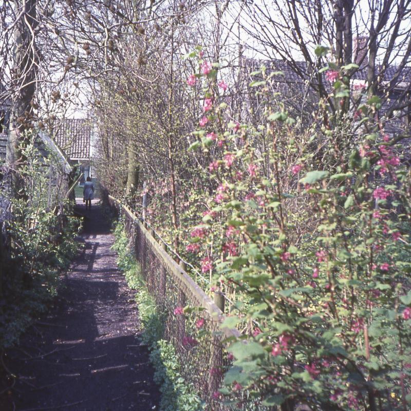 Foto 1078525178