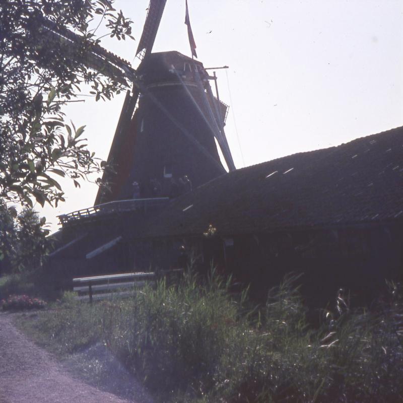 Foto 1111728431