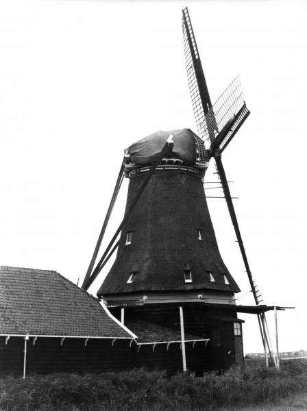 Foto 1122433977