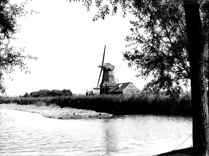 Foto 1155329624