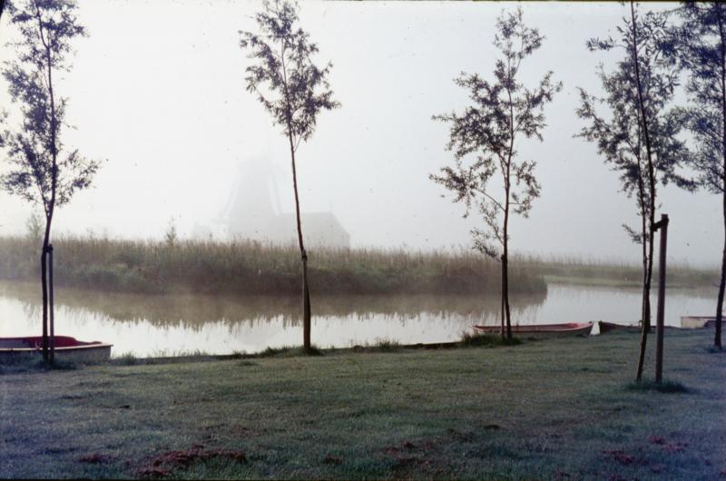 Foto 1169368881