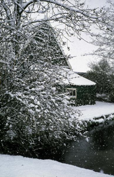 Foto 1172221283