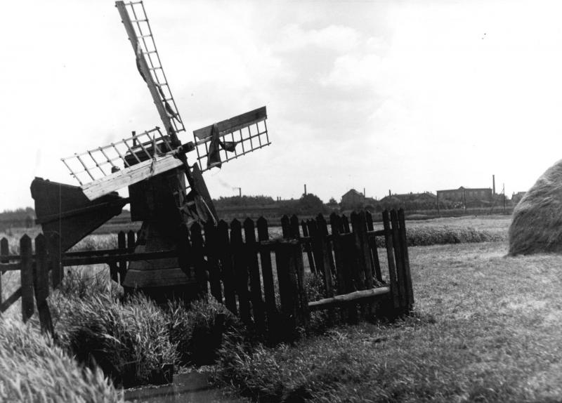 Foto 117948659