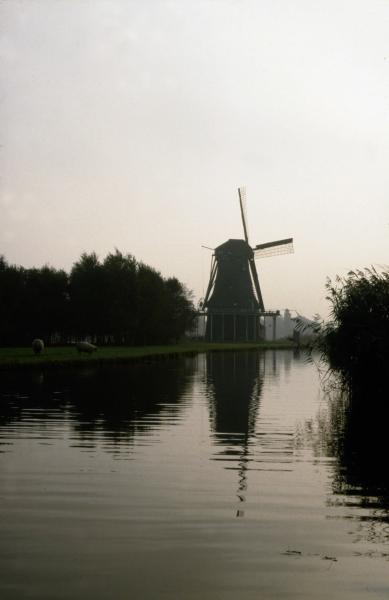 Foto 1197061541