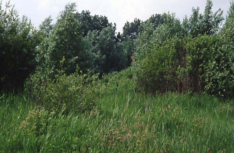 Foto 1244563626