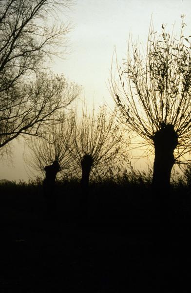 Foto 1381940801