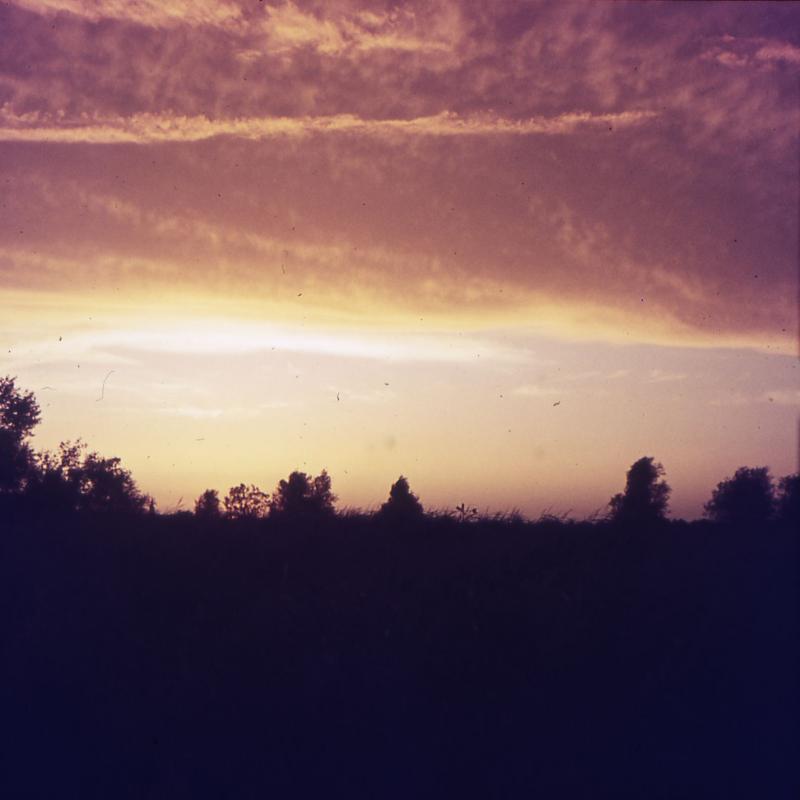 Foto 1663613841
