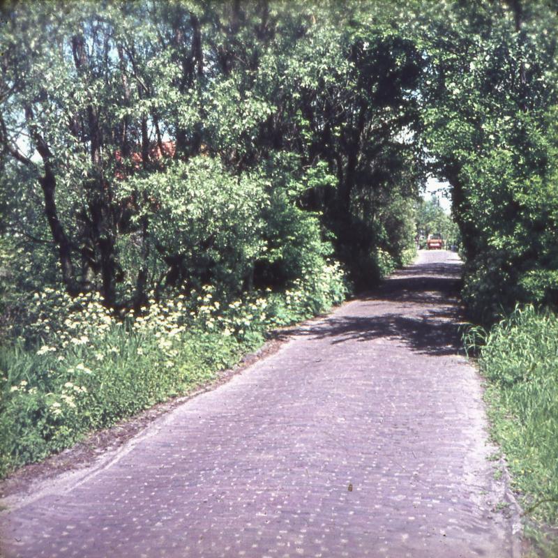 Foto 1687127845
