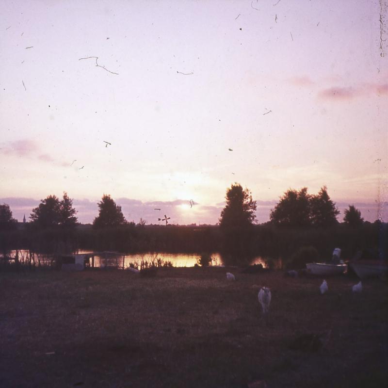 Foto 1699979446