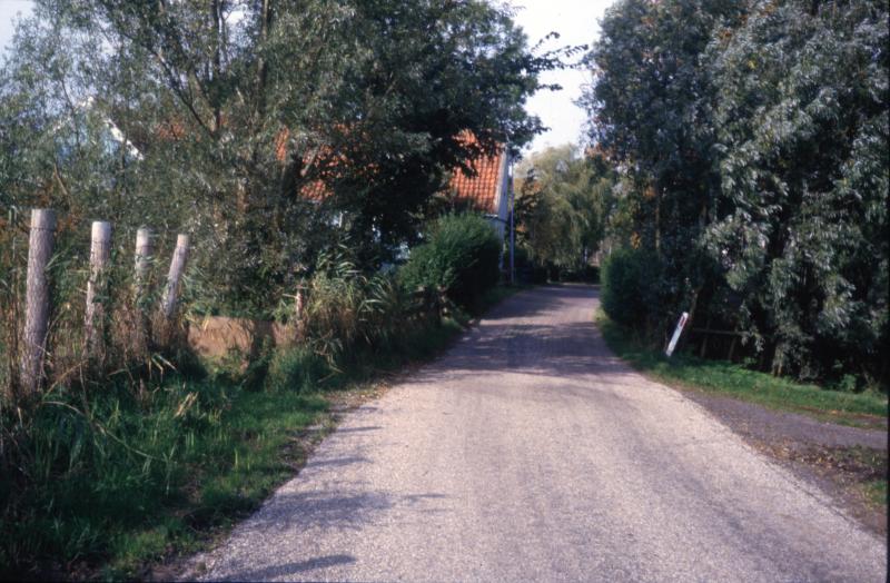 Foto 1723296464
