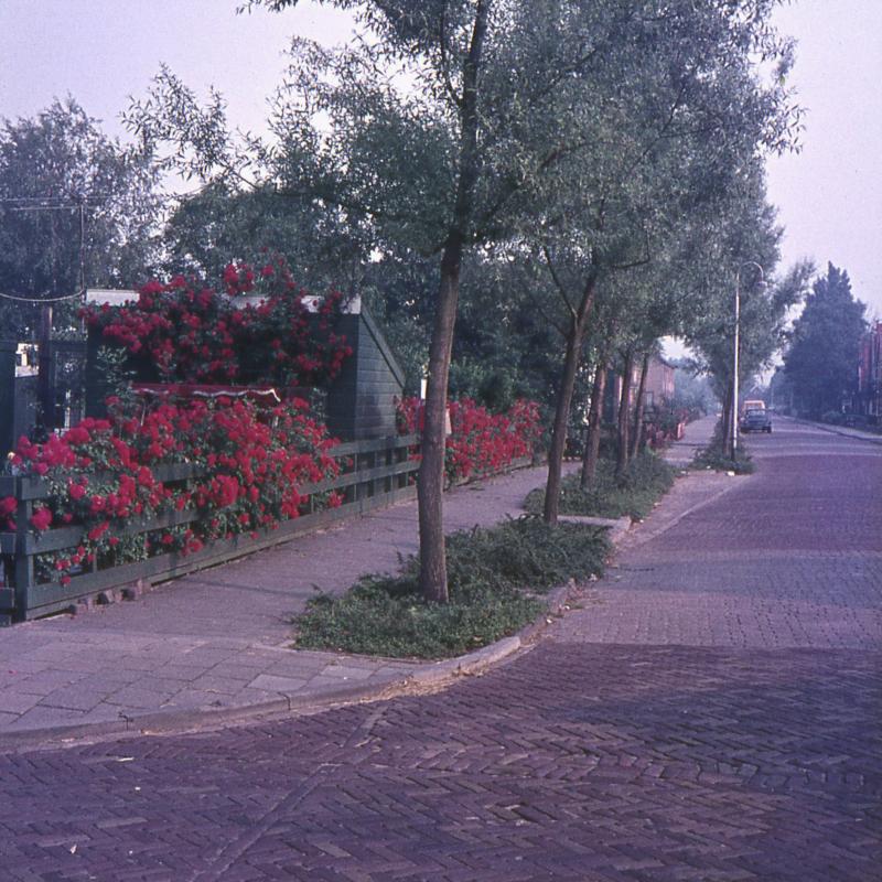 Foto 1798982740