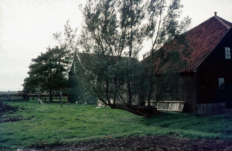Foto 1863739309