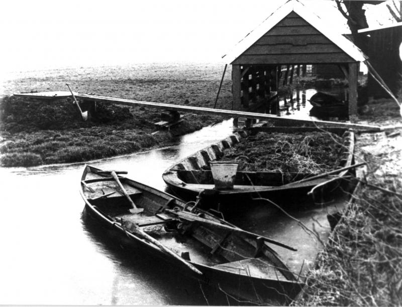 Foto 1891468253