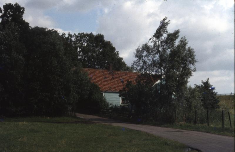 Foto 1954561919