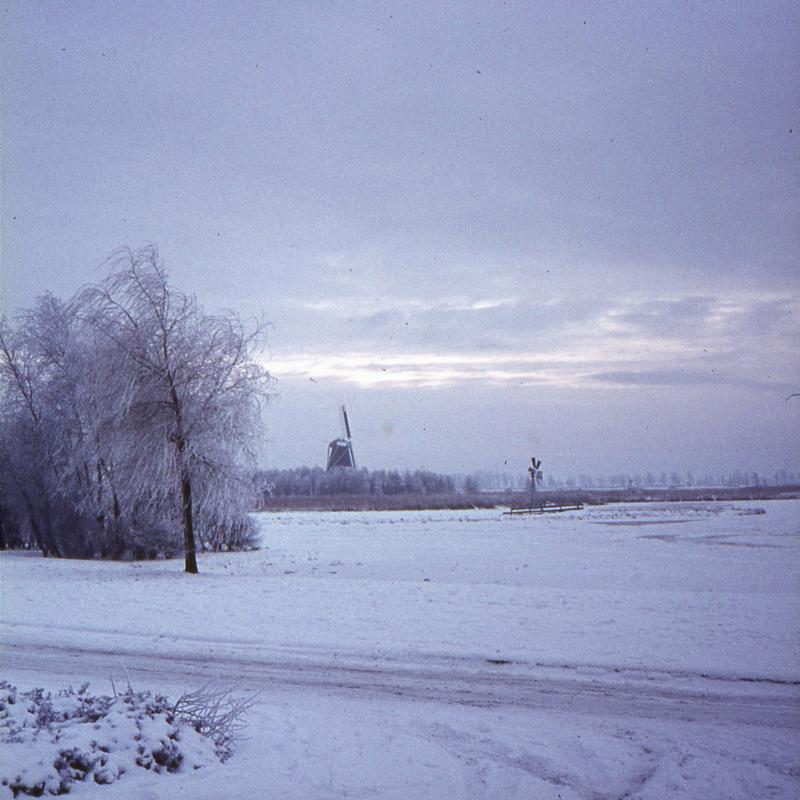 Foto 1955781147