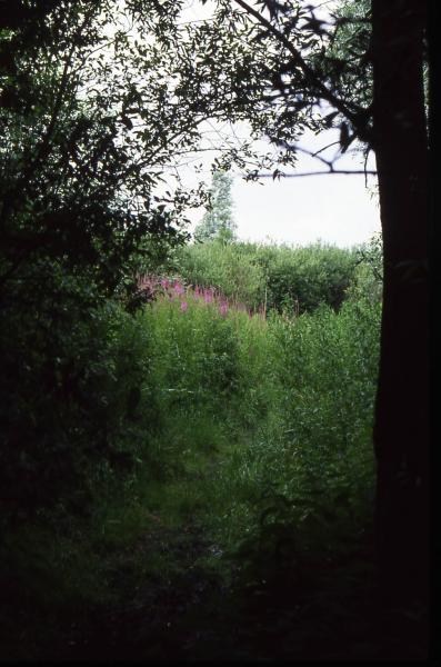 Foto 1956854527