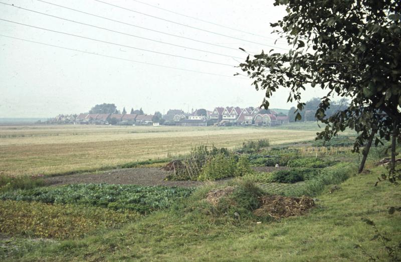 Foto 1993719322