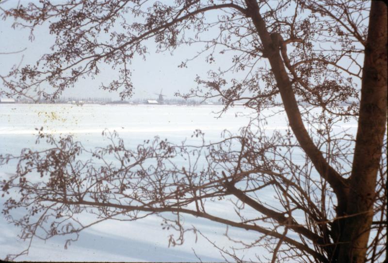 Foto 1994637794