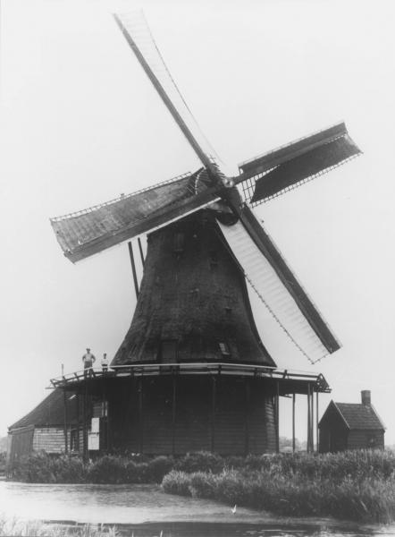 Foto 1998635505