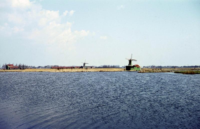 Foto 2009402668