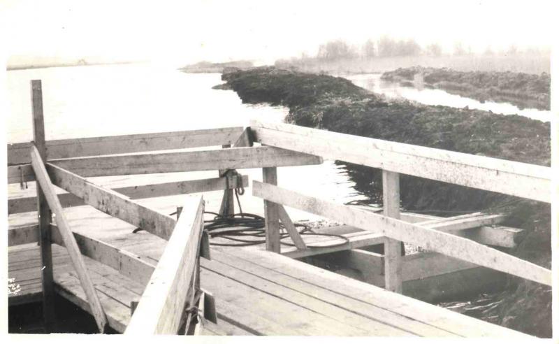 Foto 2045199452