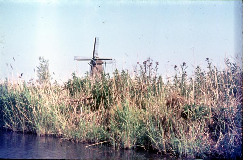 Foto 242518789