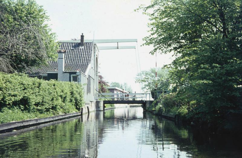 Foto 242556666
