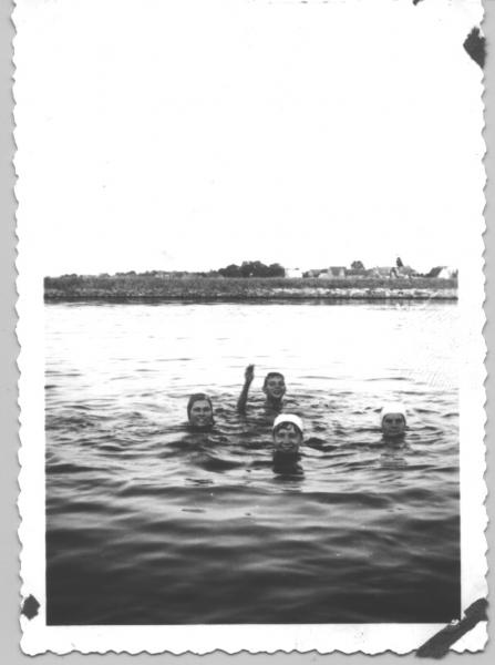 Foto 252478922