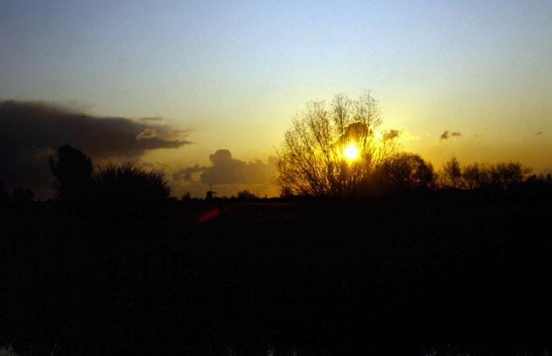 Foto 252884942