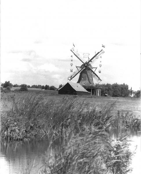 Foto 255057422