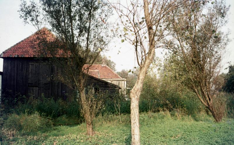 Foto 288197531