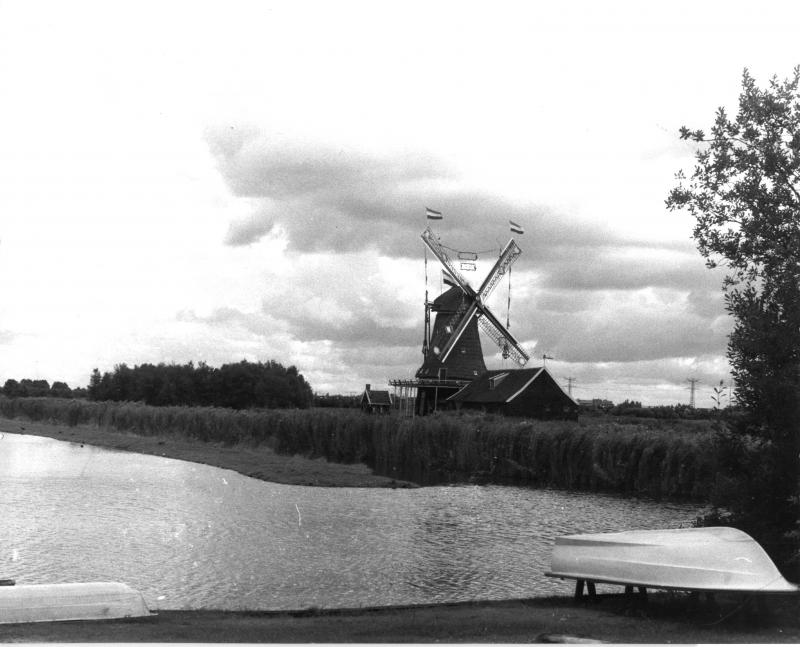 Foto 303511408