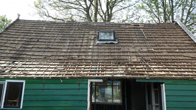 Foto 416085409