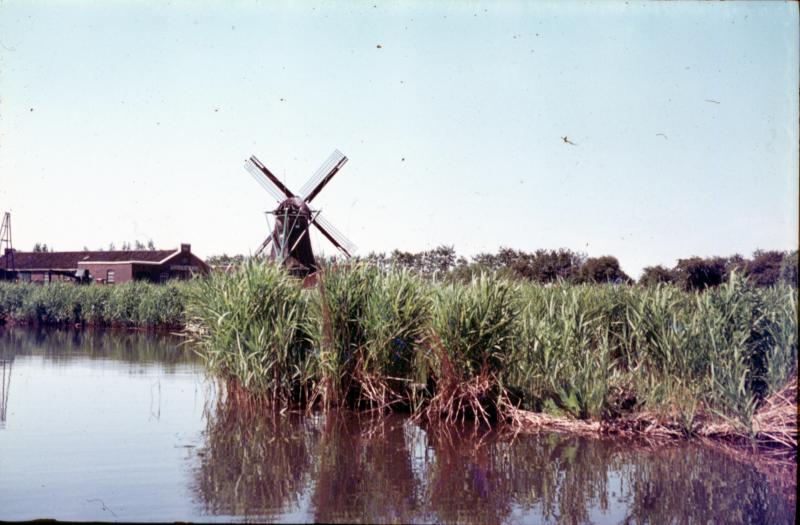 Foto 64474091