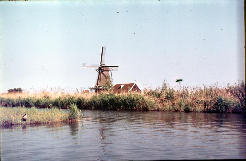 Foto 661147084