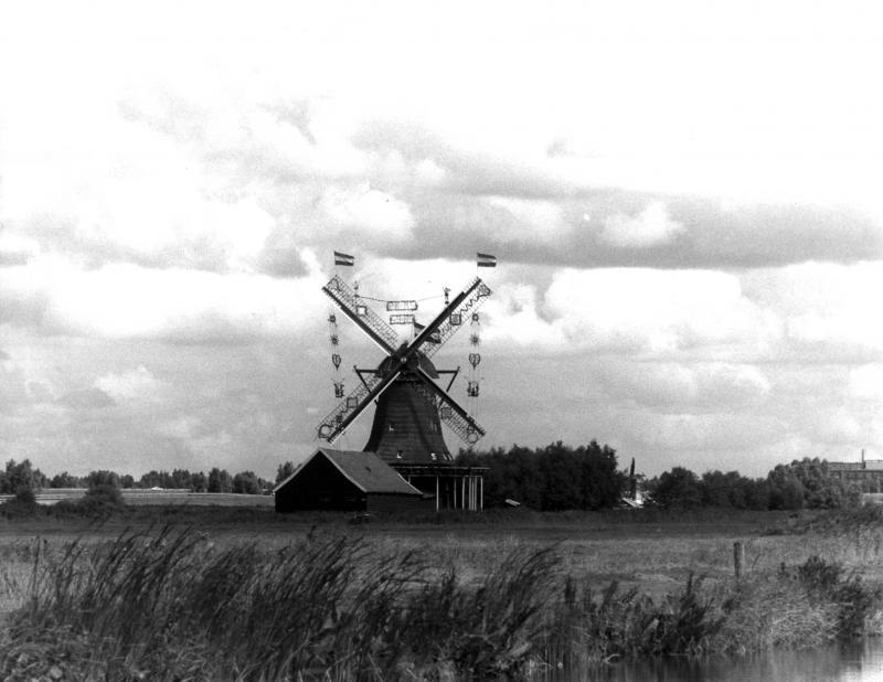 Foto 663160894