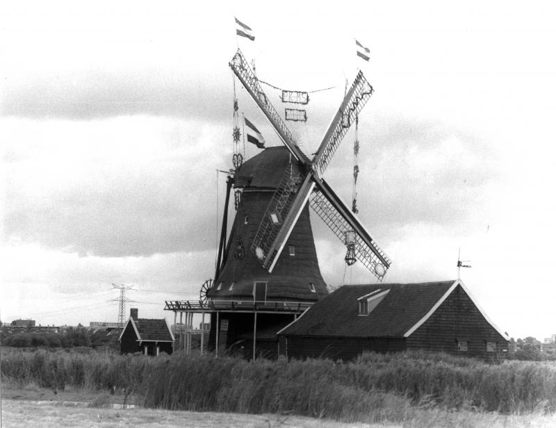 Foto 800879668