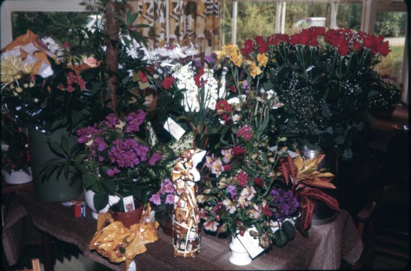Foto 871483331