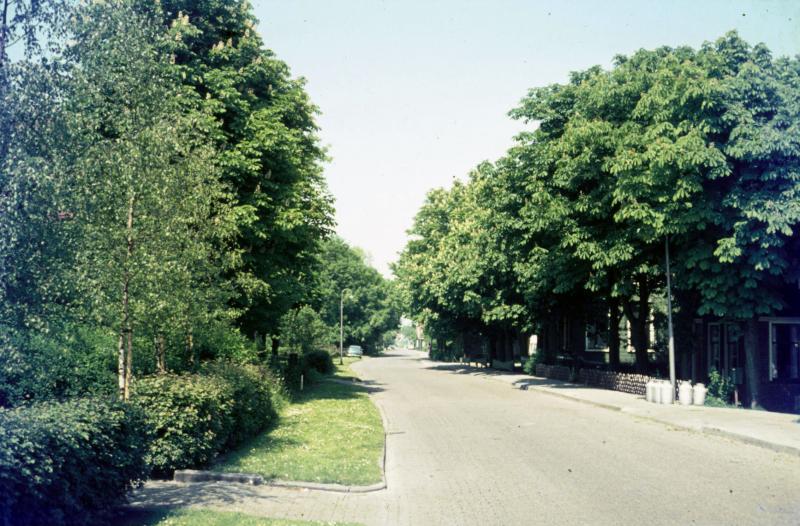 Foto 877329344