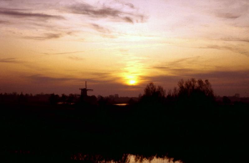 Foto 884095637