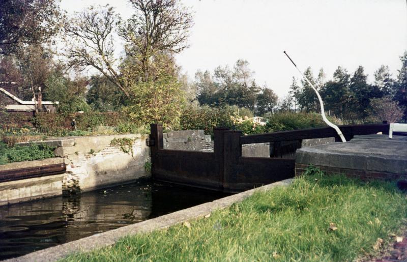 Foto 930403394