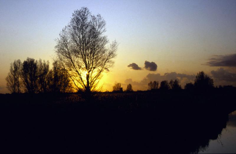 Foto 959536848