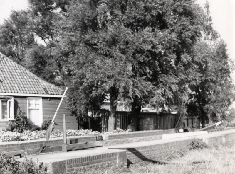 Foto 982349195