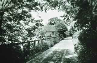Foto 163746065